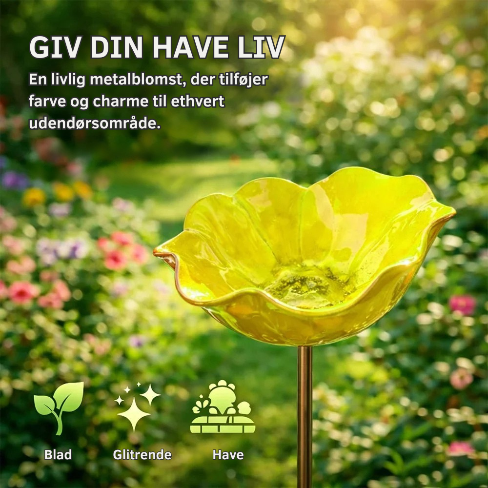 FloraOasis™ | Giv haven mere liv, farve og ro