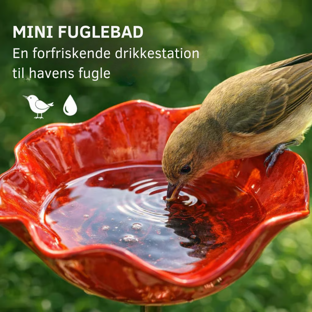 FloraOasis™ | Giv haven mere liv, farve og ro