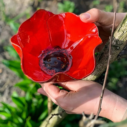 FloraOasis™ | Giv haven mere liv, farve og ro