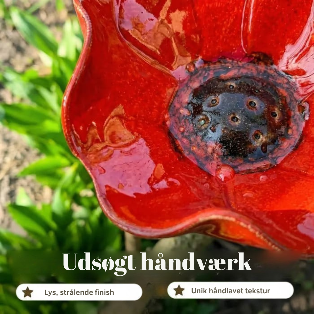 FloraOasis™ | Giv haven mere liv, farve og ro