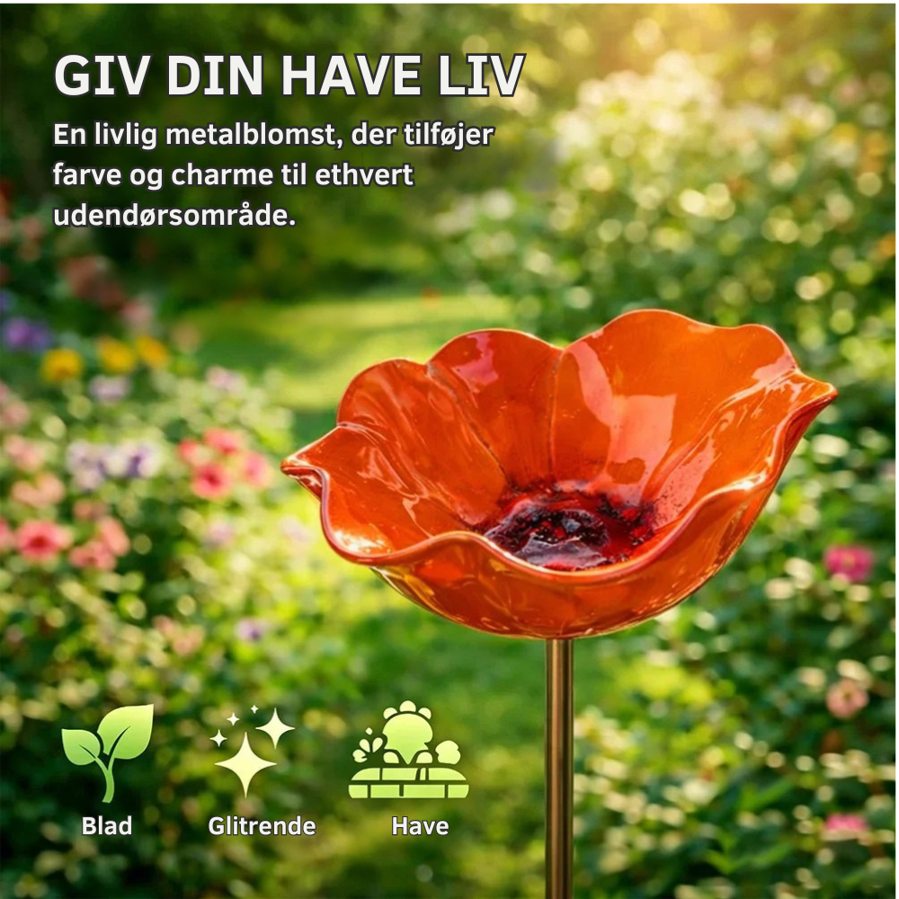 FloraOasis™ | Giv haven mere liv, farve og ro