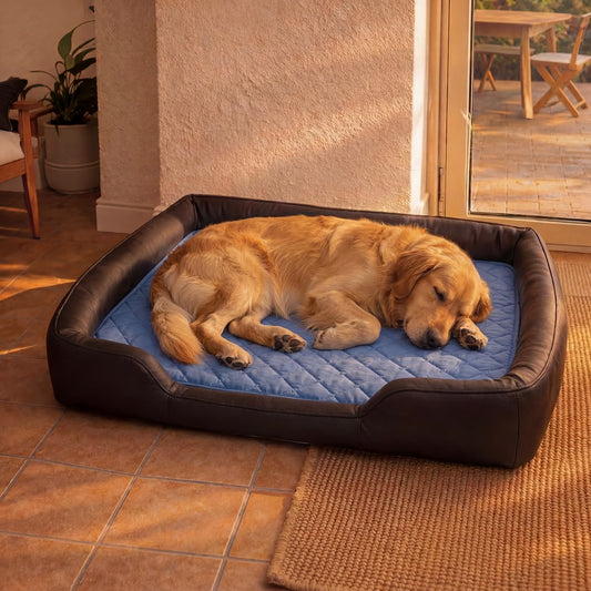 Dog Kølemåtte Holder dit kæledyr køligt hele sommeren